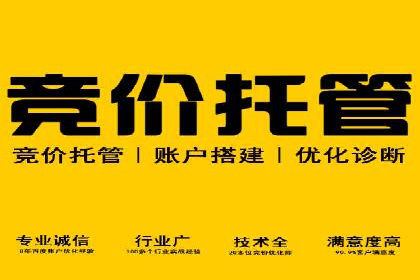 百度内容营销推广的多样化策略